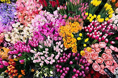 《命运2》神隐赛季曙光节活动预告 今日上线