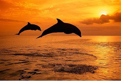 经典三消RPG《战神的挑战：不朽版》发售 Steam 46.4元