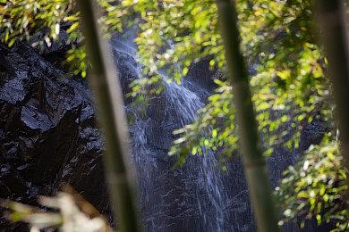 《魔咒之地》剧情曾被推翻重做：99%内容被抛弃